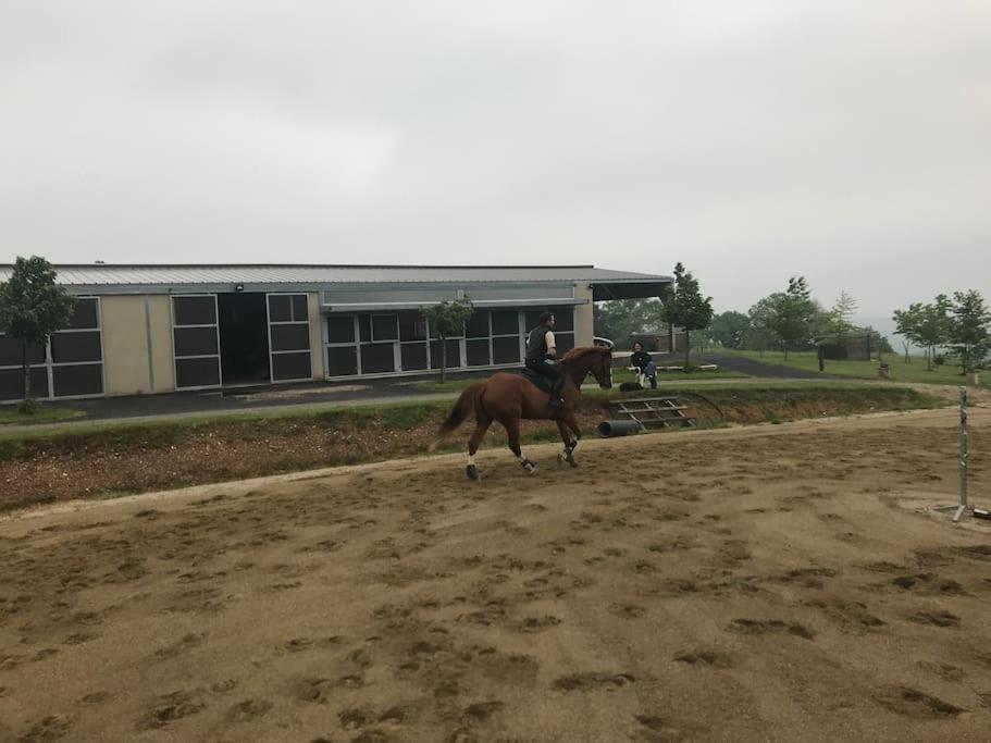 Logement Entier De Charme, Gite Equestre Gers Flamarens Exterior foto